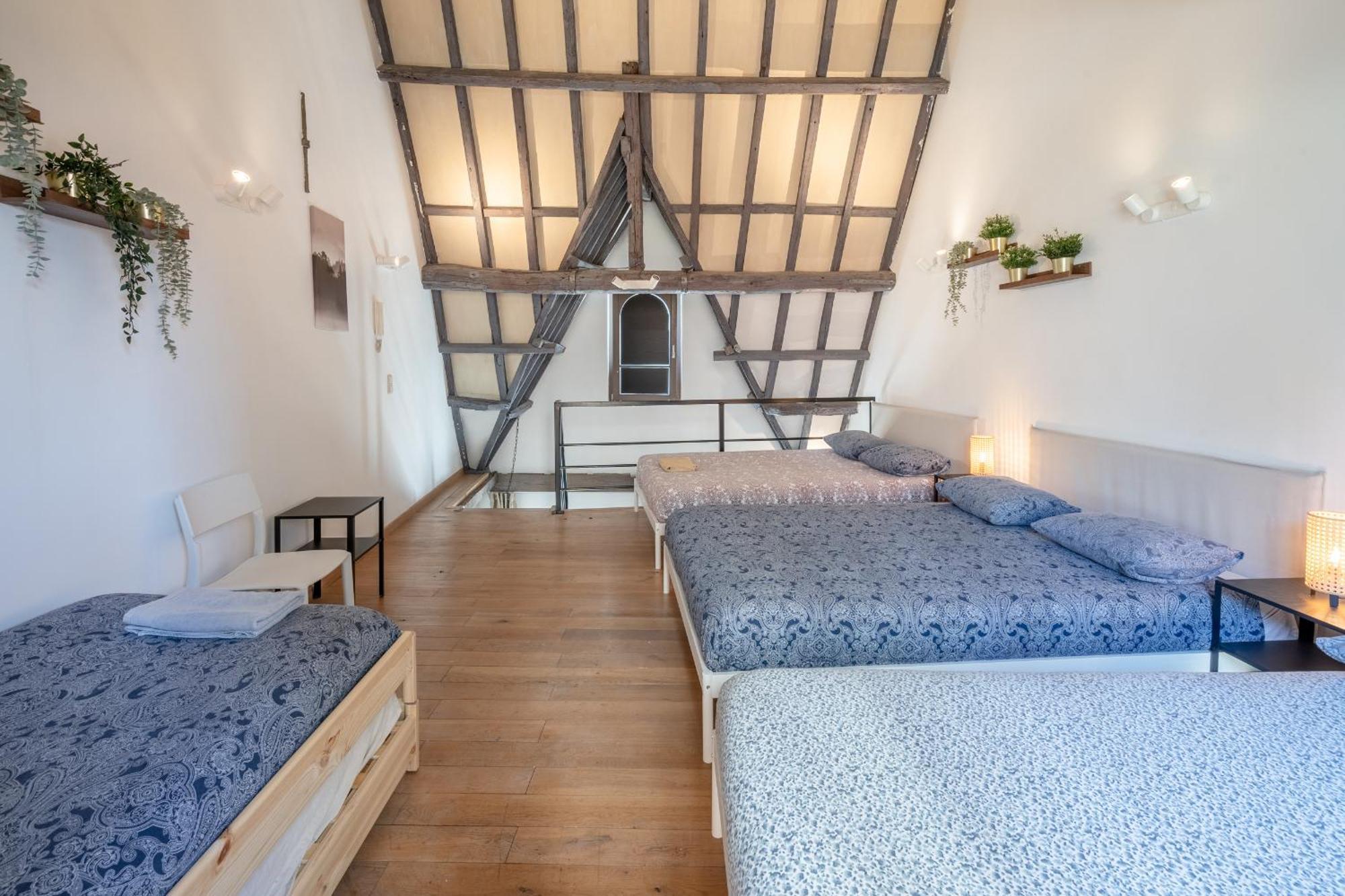 Tempel Triplex & Duplex At Historic Heart Of Antwerp Leilighet Eksteriør bilde